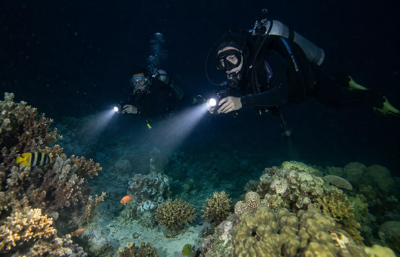 On the reef