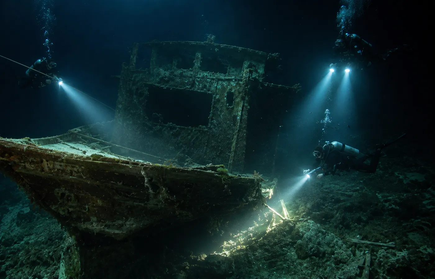 Night diving photos in Hurghada