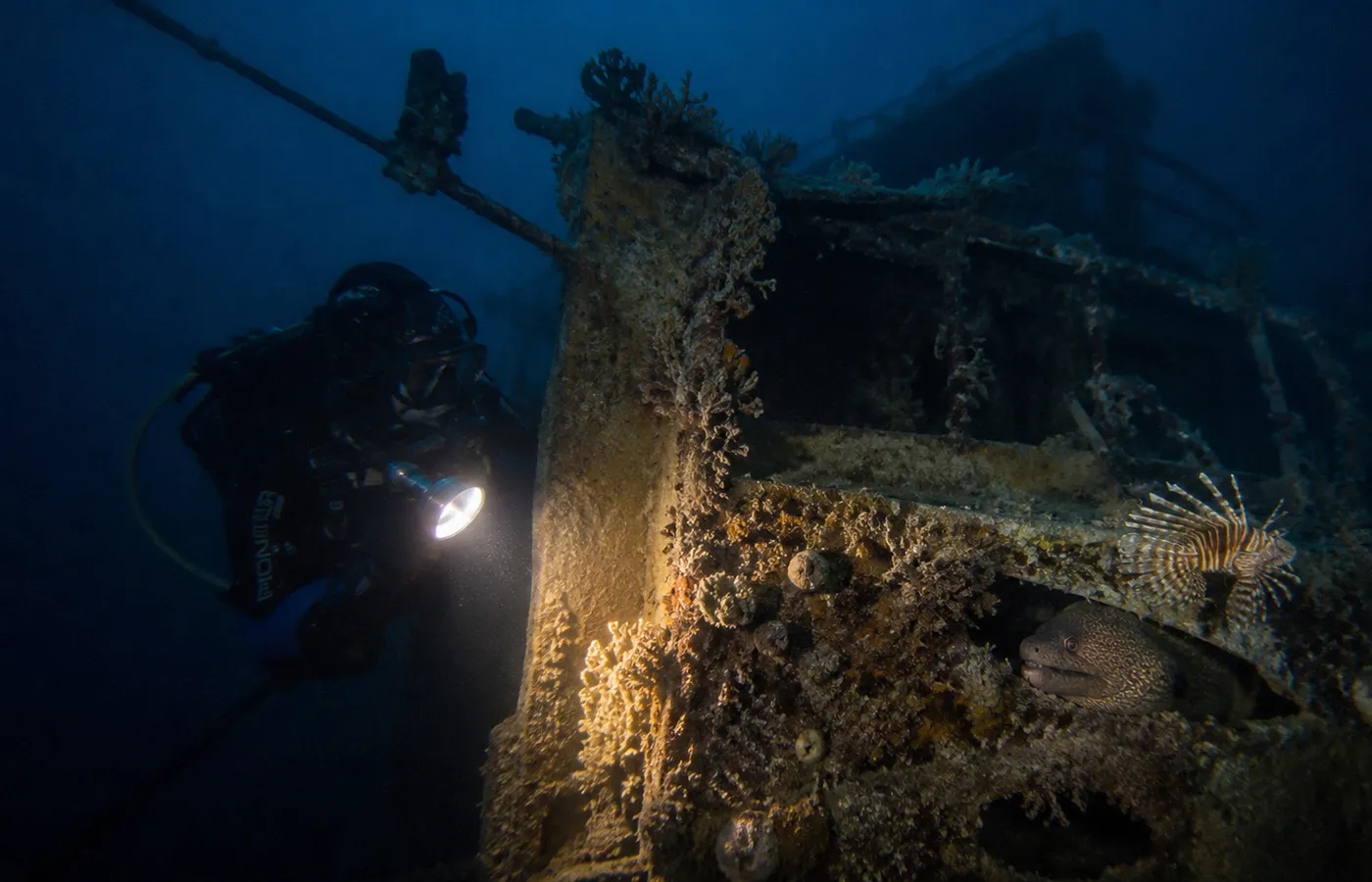 Suzanna wreck night dive